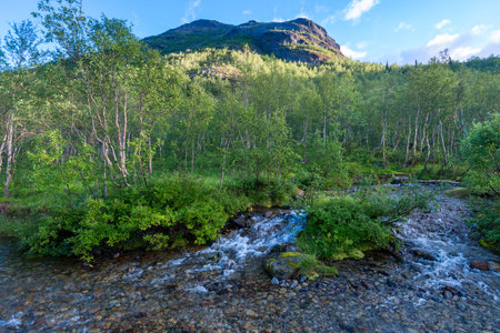Beautiful stormy mountain river of emerald and blue hues runs over rocks top viewの写真素材