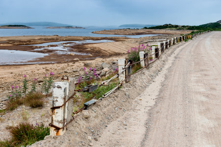 Dirt road in a polar landscape with granite stones and plantsの写真素材