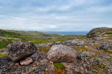Summer landscape of green polar tundra with boulders in the foreground. Northern nature in the vicinity of Teriberka (Kola Peninsula, Russia)の写真素材
