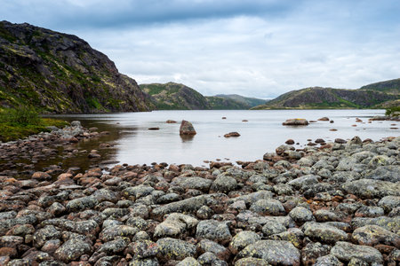 Polar landscape with granite stones and plants. North lake in the stone shoreの写真素材