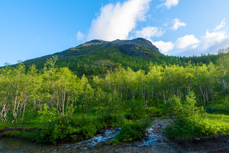 Green mountain with deciduous forest and mountain stream. Khibinyの写真素材