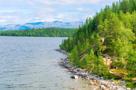Rocky shore of the northern lake, hills in a pine forestの写真素材