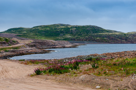 Polar landscape with granite stones and plants. North lake in the stone shoreの写真素材