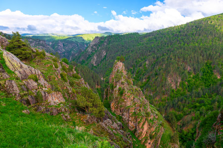 Beautiful view of a deep rocky gorge with a fir forest. Elbrus regionの写真素材