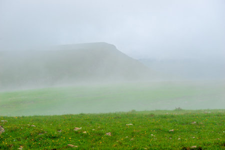 A peaceful landscape with a ghostly mountain in the fog and an alpine alpine meadow. Caucasusの写真素材