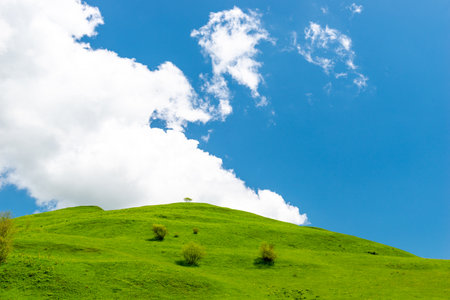 Beautiful laconic view of a green mountain covered with grass in serene clear weatherの写真素材