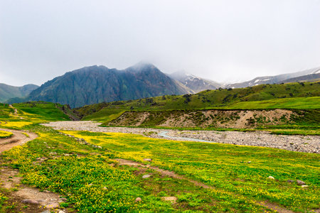 A picturesque landscape with a mountain river in the Emanuel Valley. Caucasusの写真素材