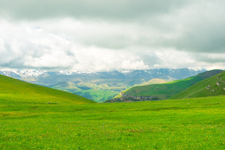 A picturesque alpine meadow overlooking the mountains in cloudy weatherの写真素材