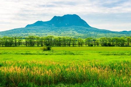 Beautiful mountain landscape with a laccolith mountain and a strip of sparse trees in front of it. Caucasusの写真素材