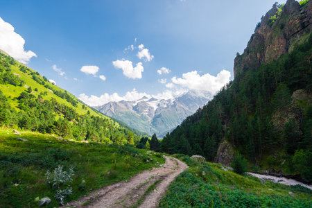 Beautiful high mountain landscape with a walking path, pine trees and a mountain peak in the background. Caucasus, Elbrus regionの写真素材