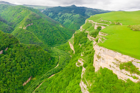 beautiful steep rocky walls of a deep green canyonの写真素材