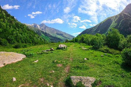 Picturesque meadow high in the mountains in sunny weather. Caucasusの写真素材