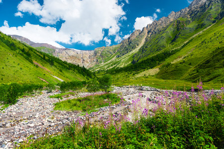 Picturesque mountain landscape of the valley of the mountain river Terskol. Caucasus, Elbrus region.の写真素材