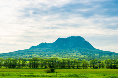 Beautiful mountain landscape with a laccolith mountain and a strip of sparse trees in front of it. Caucasusの写真素材
