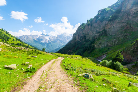 Beautiful high mountain landscape with a walking path, pine trees and a mountain peak in the background. Caucasus, Elbrus region.の写真素材