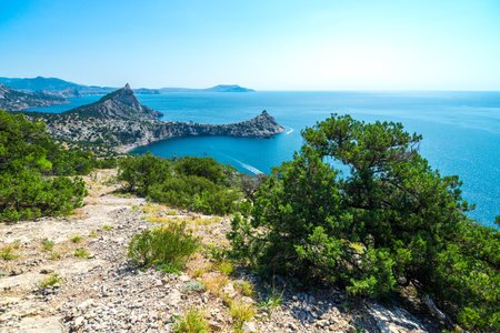Picturesque pine tree on a rocky slope against the backdrop of the sea and Cape Kapchik. Crimean Peninsula. Russiaの写真素材