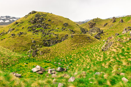 A landscape with green mountains and rocks near the Emmanuel Valley and the Elbrus regionの写真素材