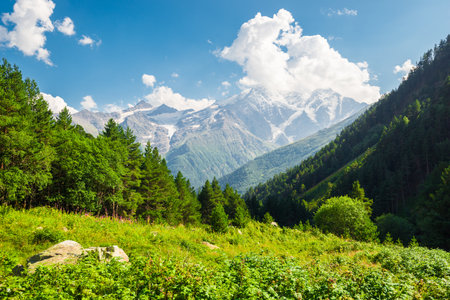 Beautiful high mountain landscape with green slopes, pine trees and a mountain peak in the background. Caucasus, Elbrus region.の写真素材