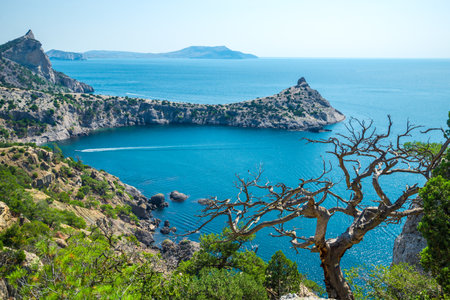 Dramatic view with old dry tree on Cape Kapchik and Black Sea. Crimean Peninsula. Russiaの写真素材