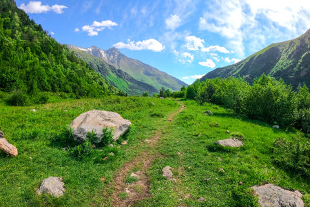 Picturesque meadow high in the mountains in sunny weather. Caucasusの写真素材