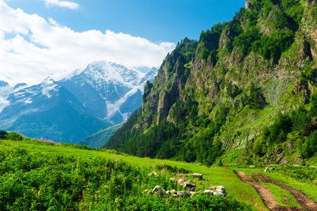 Beautiful mountain landscape in the valley of the stormy clean river Terskol with a view of the glacier "Seven". Caucasus, Elbrus region.の写真素材