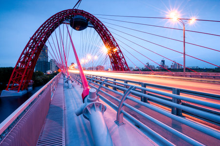 A picturesque cable-stayed bridge over the Moskva River.の写真素材