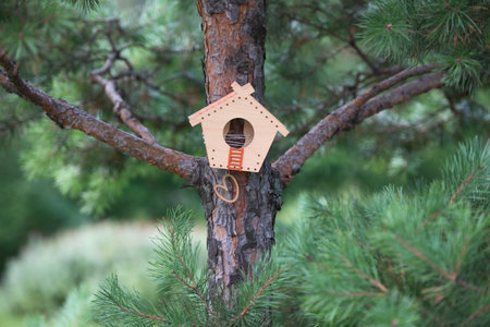 A small wooden birdhouse for birds fixed on the trunk of a pine treeの写真素材