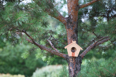 A small wooden birdhouse for birds fixed on the trunk of a pine treeの写真素材