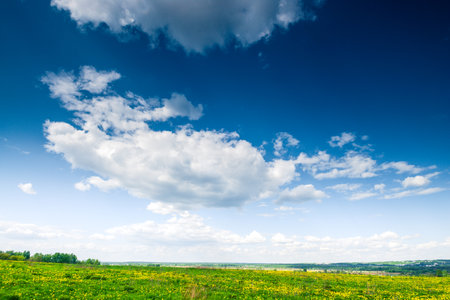 Summer landscape of a green meadow under a blue sky in good weatherの写真素材