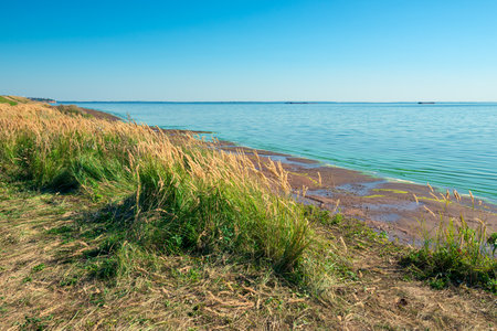 Sunny bank of the Volga river with meadow tall grass. Russiaの写真素材