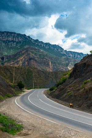 Winding asphalt road in the mountains of the North Caucasus of Dagestan. Russiaの写真素材