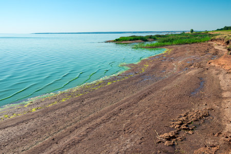 Sunny bank of the Volga river with meadow tall grass. Russiaの写真素材