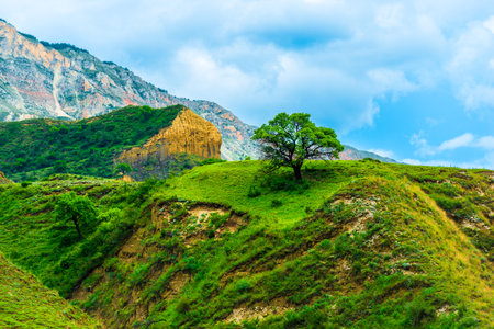 Picturesque mountain landscape with a lonely beautiful tree on the top. Dagestan, Caucasusの写真素材