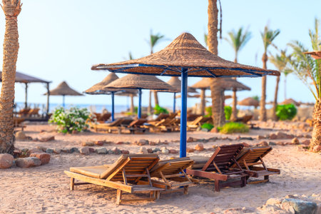 Sun loungers and umbrella in the hotel's beach area on the seashoreの写真素材