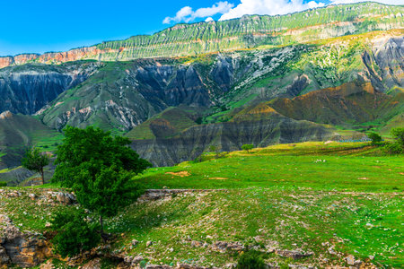 Picturesque mountain landscape with mountain pasture against the backdrop of beautiful mountains. Dagestan, Caucasusの写真素材