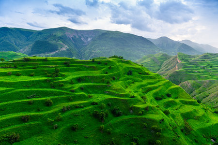 Picturesque terraces on the green slopes of the North Caucasus mountains. Dagestanの写真素材