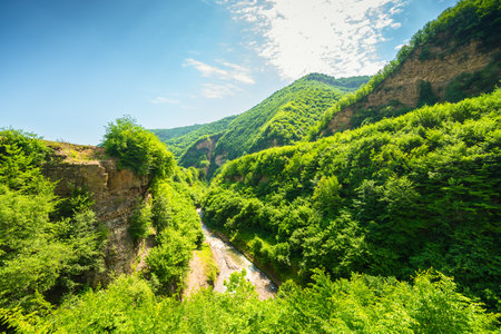 Beautiful landscape of deep green canyon of mountain river in mountains of North Caucasusの写真素材