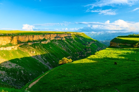 Picturesque landscape with a pasture on the edge of the deep Tsolotlinsky canyon in the mountains of the North Caucasusの写真素材