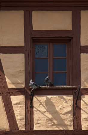 couple of pigeons sitting on old medieval house's window, Bavariaの写真素材