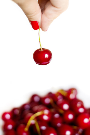 Woman is holding one red cherry over lot of cherries, isolated on white background の写真素材