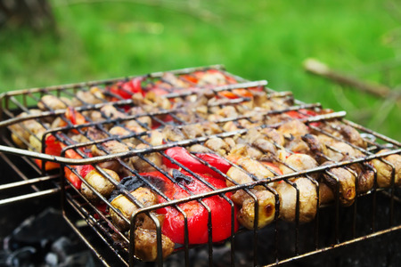 Fresh vegetables for grilling picnic in summer outdoorsの写真素材