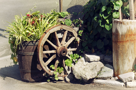 Rural scene with plants in pots and decorations wooden wheelの写真素材