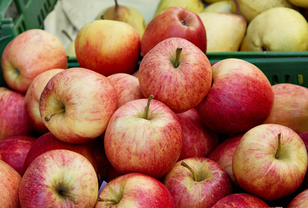 Fresh red apples at the local farmers marketの写真素材