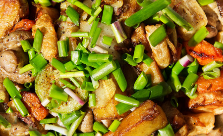 Grilled vegetables with green bunch-onion in metal dish on picnic outdoorの写真素材