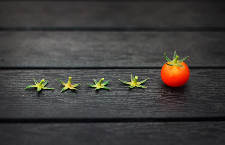 One cherry tomato and four Pedicels on dark wooden table. Last food.