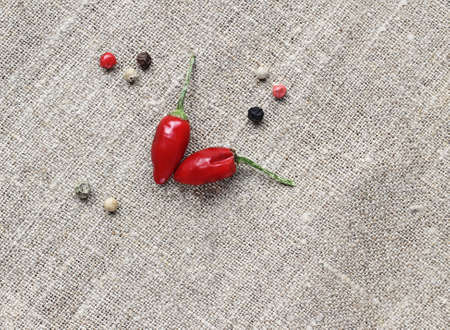 Red hot Capsicum (peppers) in shape of heart and few pieces of mixed peppercorns on gray textile...