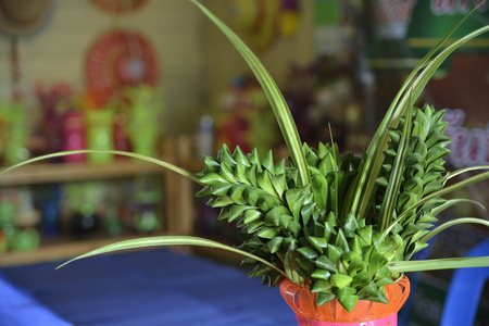 artificial flowers made from leafs and materials used.の写真素材