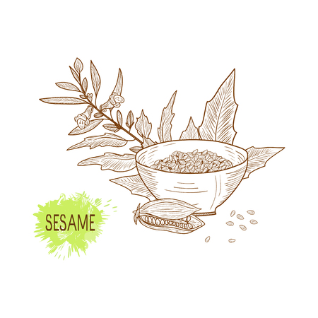 Sesame. Plant. Corn. Bowl. Monochrome. Sketch.のイラスト素材