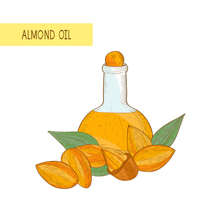 Almond grain, oil sketch color pattern.のイラスト素材