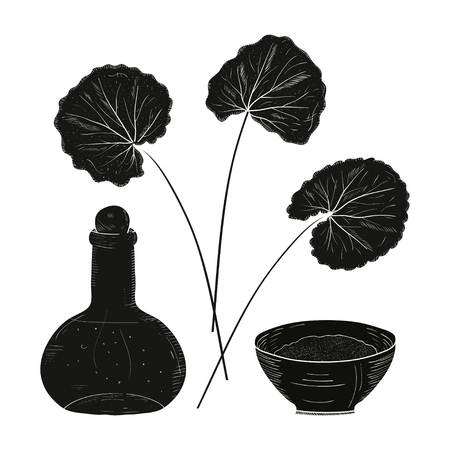 Gotu Kola  Leaves, bowl, bottle. Silhouette Vector illustration  on a white background.のイラスト素材